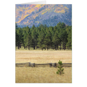 Champ flagstaff coloré