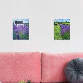 Champ Lavender (Salon)