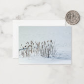 Champ neigeux - Cartes de notes (Devant/Arrière en situation)