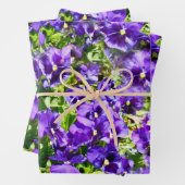 Champ Pansy Violet, Enveloppement Cadeau, Feuilles (En situation)