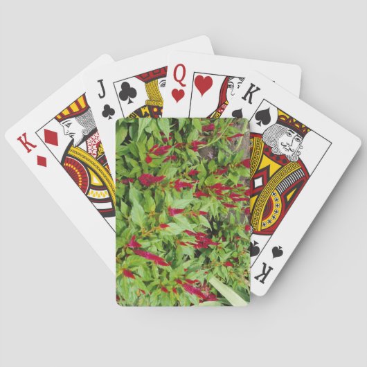 Champ plein de fleurs Plate-forme de cartes de jeu (dos)