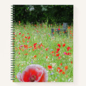 Champ Poppies avec banc Carnet EDS (Devant)