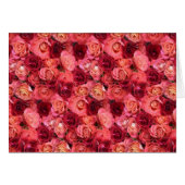 CHAMP ROSE (Devant horizontal)