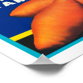  Champ Sweet Potates Poster (Hoek)