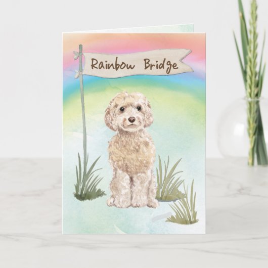 Champagne Cockapoo Pet Sympathie Over Regenboog Kaart (Voorkant)