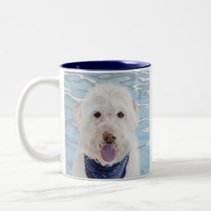 Champagne Labradoodle met mok van water.