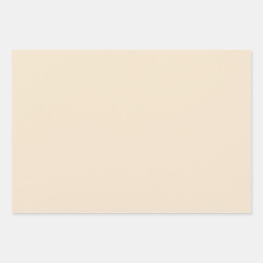 Champagne Metallic Effen Kleur | Klassiek | Elegan Inpakpapier Vel (Voorkant)