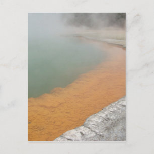 Champagne Pool Briefkaart