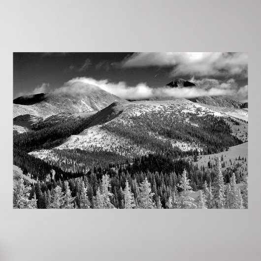 Champagne Snowscape Poster (Voorkant)