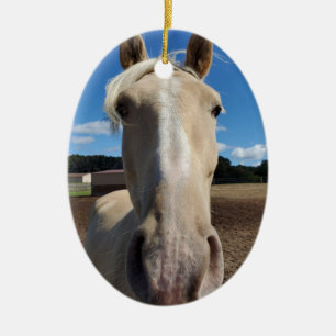 Champagne Tennessee Promenade Horse ornement