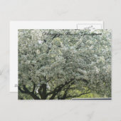 Champaign, Illinois Springtime Briefkaart (Voorkant / Achterkant)