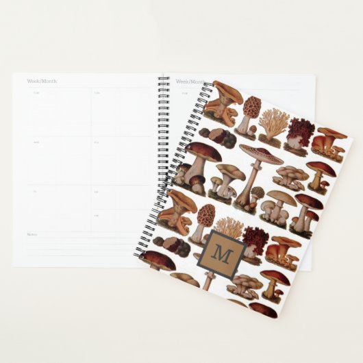 champignon botanique vintage (Devant avec enveloppe)