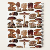 champignon botanique vintage (Dos)