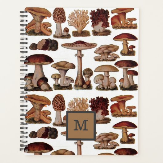 champignon botanique vintage (Devant)