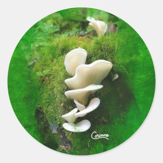 Champignon d'aile - Stickers d'enveloppes (Devant)