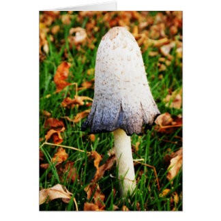 Champignon d'automne