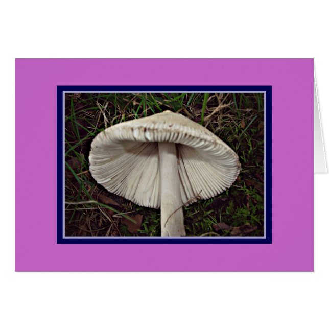 Champignon Slim Shady (Devant horizontal)