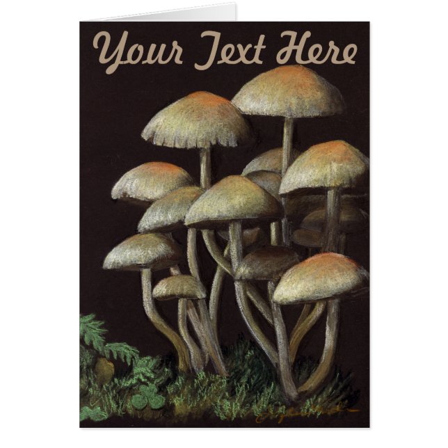 Champignons (Devant)