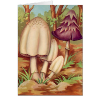 Champignons 1