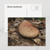 Champignons 149 ~ carte postale (Devant / Derrière)