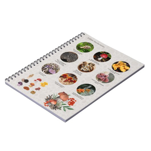 Champignons comestibles Photos Guide Journal du gr (Côté gauche)