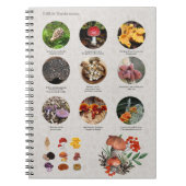 Champignons comestibles Photos Guide Journal du gr (Devant)