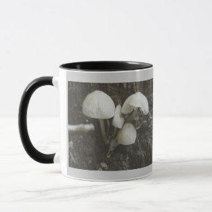 Champignons dans la Mug de souche
