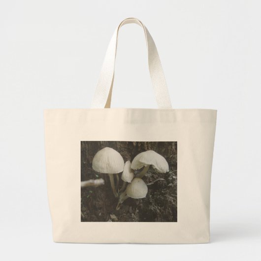 Champignons dans le sac de souche (Devant)