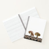 Champignons de Carnet spiral (Intérieur)