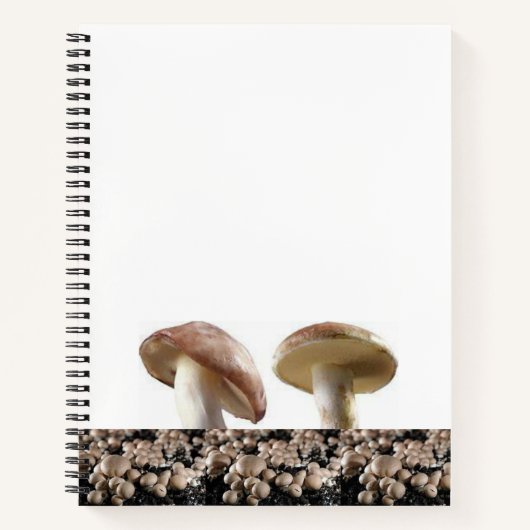 Champignons de Carnet spiral (Devant)