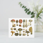 Champignons de champignons de champignons Carte po (Debout devant)