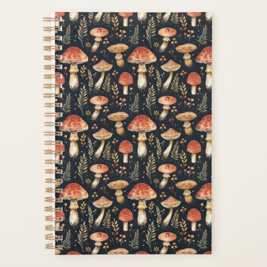 Champignons de la Forêt Magique (Devant)