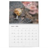 Champignons des bois - Calendrier naturel 2026 (Mar 2026)