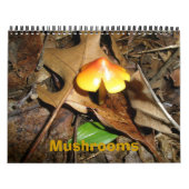 Champignons du calendrier (Protection)