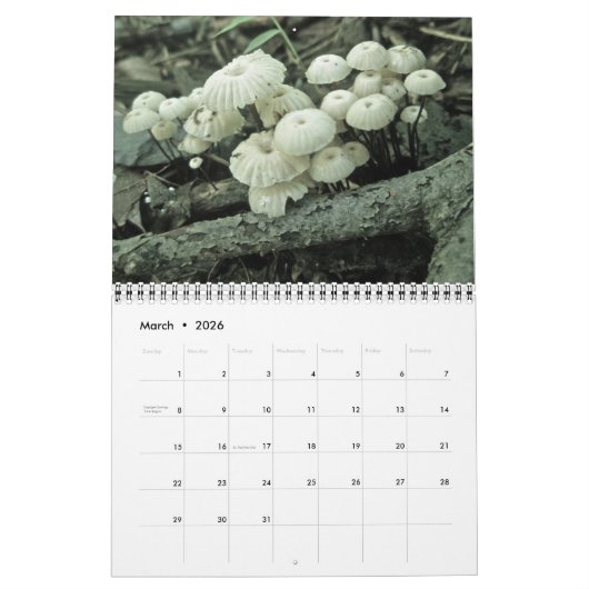 Champignons du calendrier (Mar 2026)
