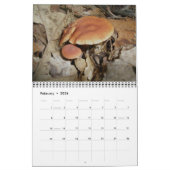 Champignons du calendrier (Feb 2026)