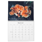 Champignons et champignons Calendrier 2020 (Mar 2027)
