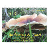 Champignons et champignons Calendrier 2020 (Protection)
