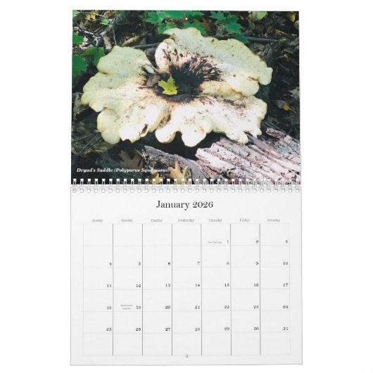Champignons et champignons Calendrier 2020 (Jan 2026)