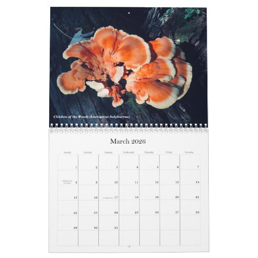 Champignons et champignons Calendrier 2020 (Mar 2026)