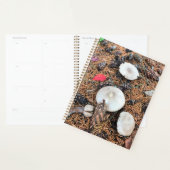 Champignons et cônes de pin (Devant avec enveloppe)