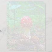 Champignons - Feuille de papier à lettres de 8,5 p (Devant / Derrière)