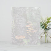 Champignons - Feuille de papier à lettres de 8,5 p (Debout devant)