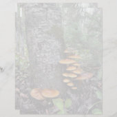 Champignons - Feuille de papier à lettres de 8,5 p (Devant / Derrière)