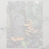 Champignons - Feuille de papier à lettres de 8,5 p (Dos)