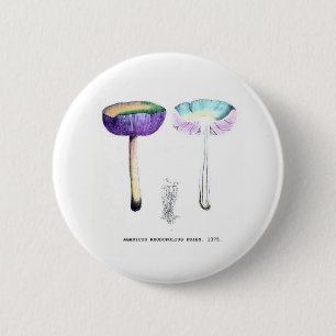  champignons ronde button 5,7 cm