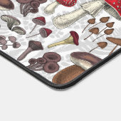 Champignons sauvages (Coin)