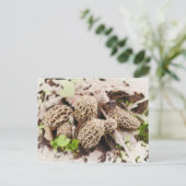 Champignons sauvages, carte postale (Debout devant)