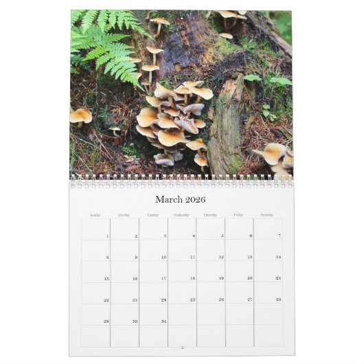 Champignons sauvages de l'Alaska - Calendrier moye (Mar 2026)