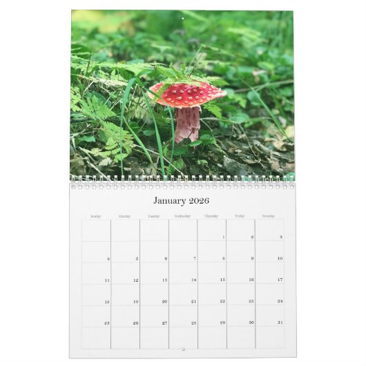 Champignons sauvages de l'Alaska - Calendrier moye (Jan 2026)